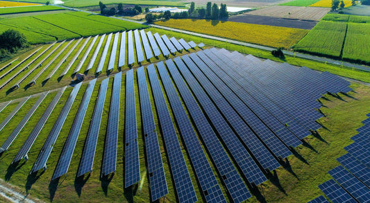 Agrowoltaika w obiektach magazynowych – połączenie energii solarnej z zielenią