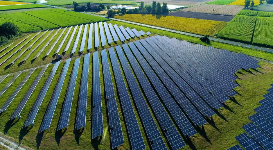 Agrowoltaika w magazynach – integracja paneli solarnych z roślinnością dla efektywnej produkcji energii i ochrony środowiska